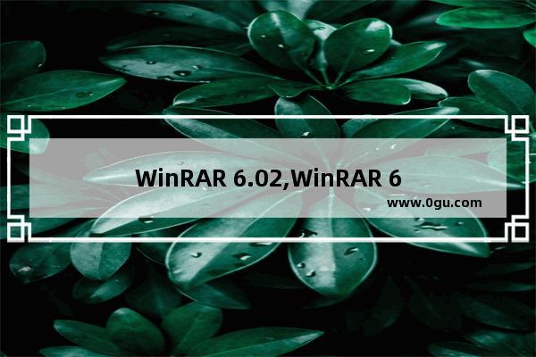 WinRAR 6.02,WinRAR 6.01