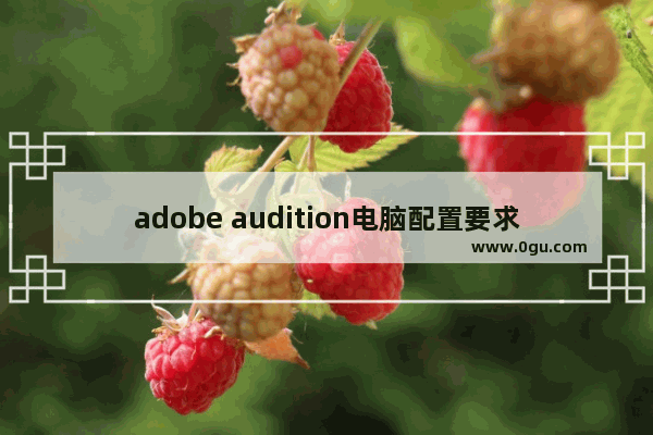 adobe audition电脑配置要求,adobe2020 mac系统要求