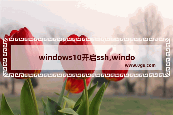 windows10开启ssh,windows使用ssh