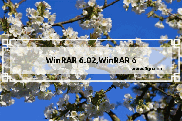 WinRAR 6.02,WinRAR 6.01