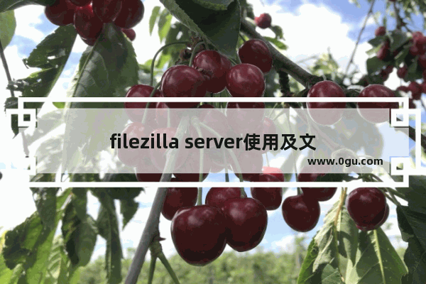 filezilla server使用及文件服务器的配置,filezilla配置文件