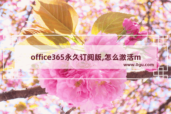 office365永久订阅版,怎么激活microsoft365订阅