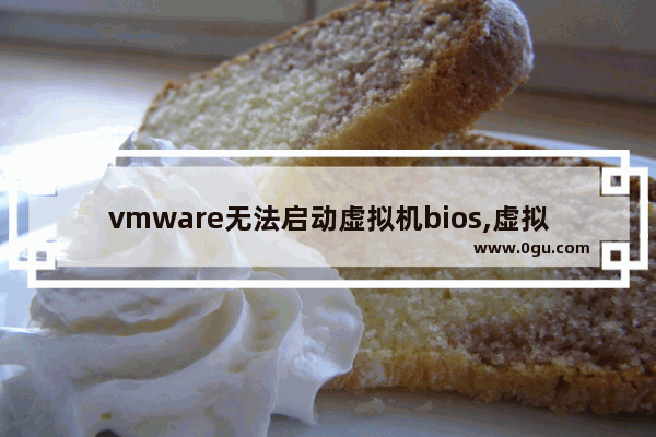 vmware无法启动虚拟机bios,虚拟机需要打开bios