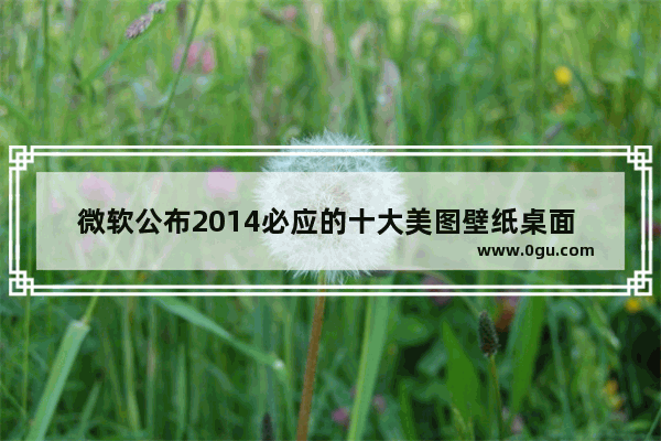 微软公布2014必应的十大美图壁纸桌面 附下载地址