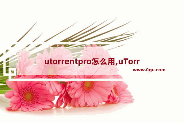 utorrentpro怎么用,uTorrent uTorrent