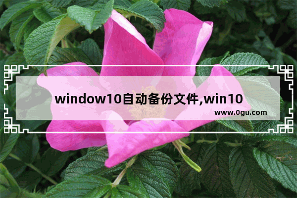 window10自动备份文件,win10文件备份怎么弄