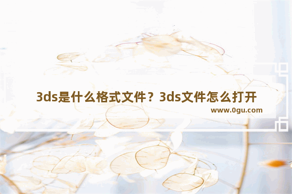 3ds是什么格式文件？3ds文件怎么打开？