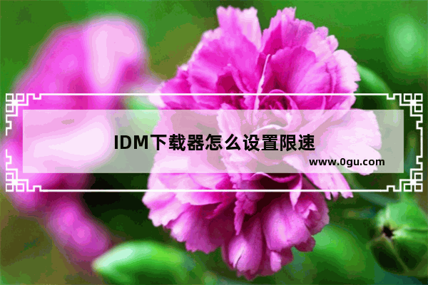 IDM下载器怎么设置限速