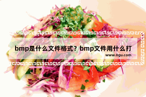 bmp是什么文件格式？bmp文件用什么打开？