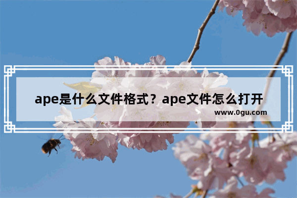 ape是什么文件格式？ape文件怎么打开？