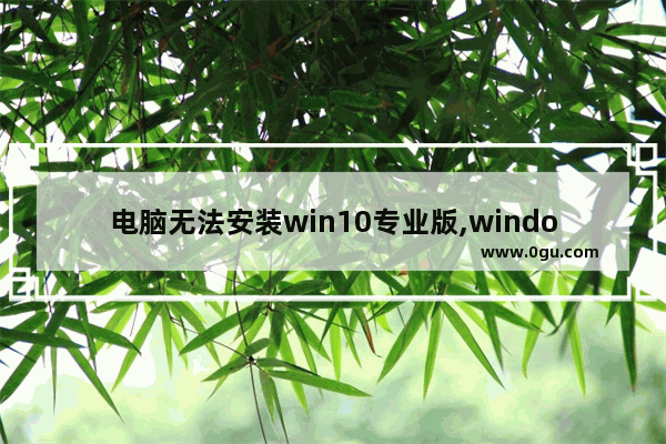 电脑无法安装win10专业版,windows10专业版安装失败