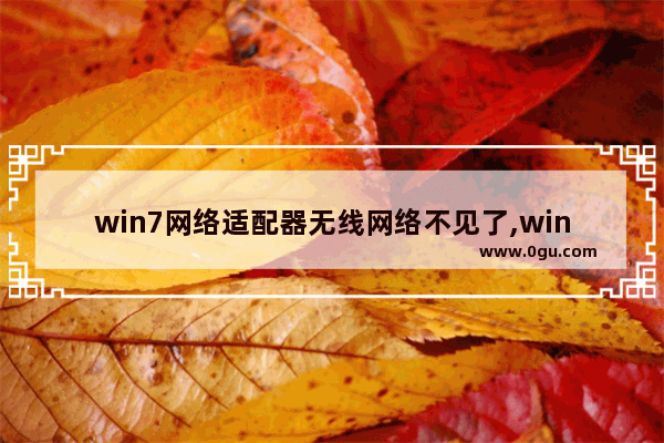 win7网络适配器无线网络不见了,win7无线适配器有问题怎么修复