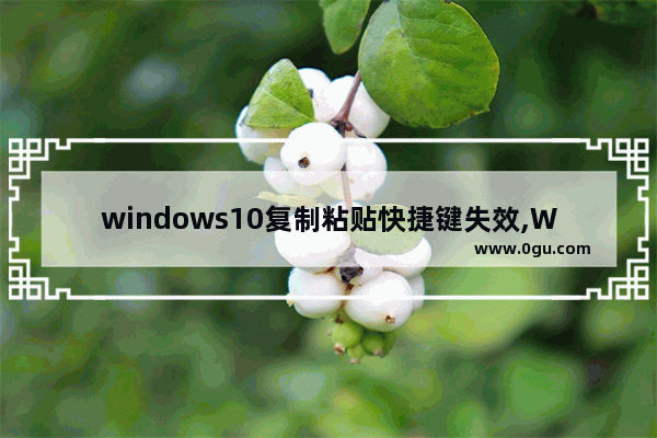 windows10复制粘贴快捷键失效,Win10粘贴快捷键