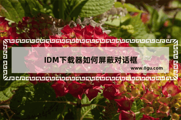 IDM下载器如何屏蔽对话框