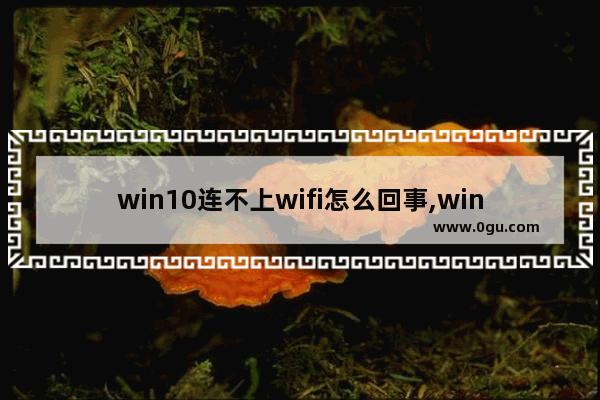 win10连不上wifi怎么回事,windows10连上wifi却上不了网