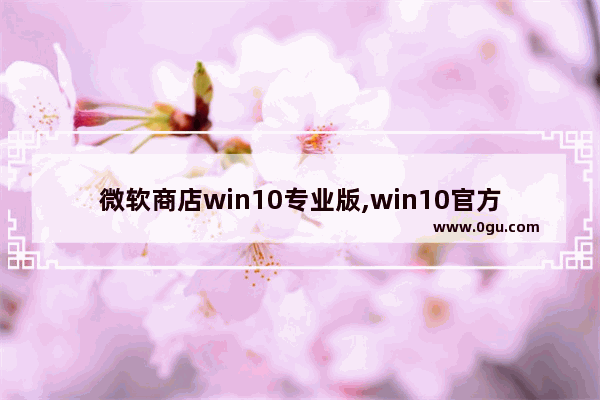 微软商店win10专业版,win10官方商店