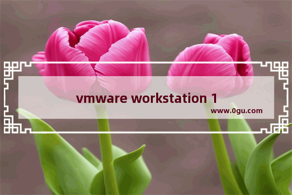 vmware workstation 16安装教程,vmware workstation安装win11