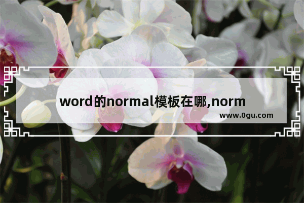 word的normal模板在哪,normal.dotm文件位置