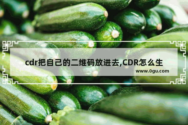 cdr把自己的二维码放进去,CDR怎么生成二维码