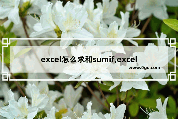 excel怎么求和sumif,excel公式sumifs不等于表达