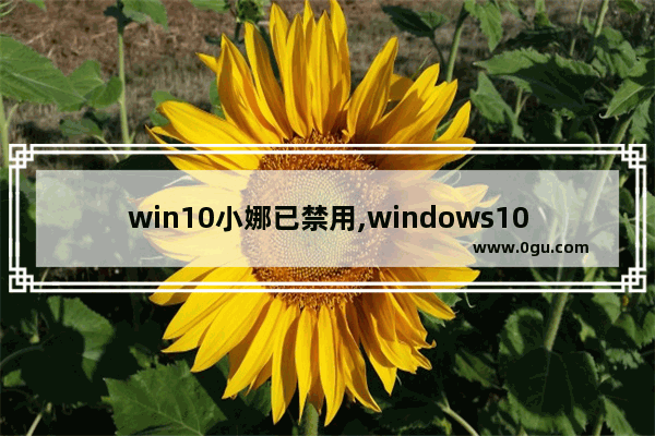 win10小娜已禁用,windows10小娜怎么卸载