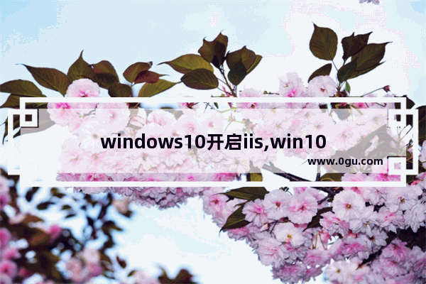 windows10开启iis,win10打开iis管理器命令