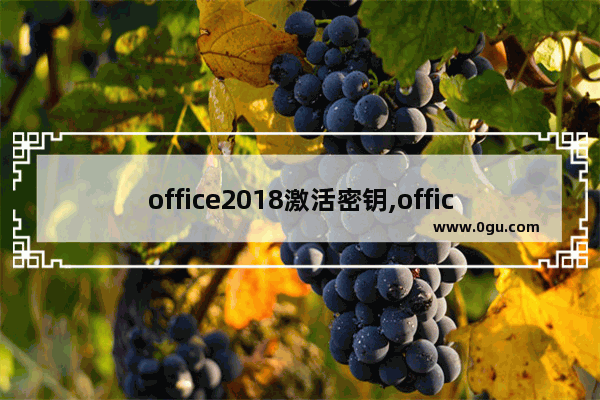 office2018激活密钥,office2016激活密钥最新