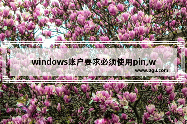 windows账户要求必须使用pin,windows10需要pin才能登录