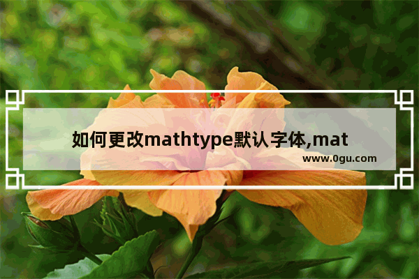 如何更改mathtype默认字体,mathtype字体设置