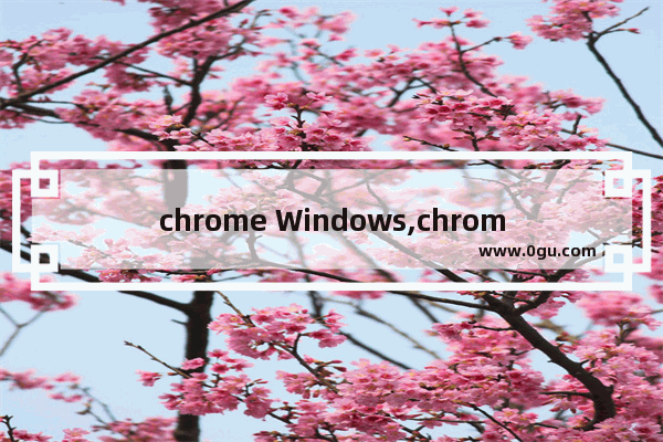 chrome Windows,chrome浏览器 win10