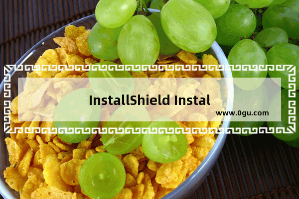 InstallShield Installation Information是什么意思