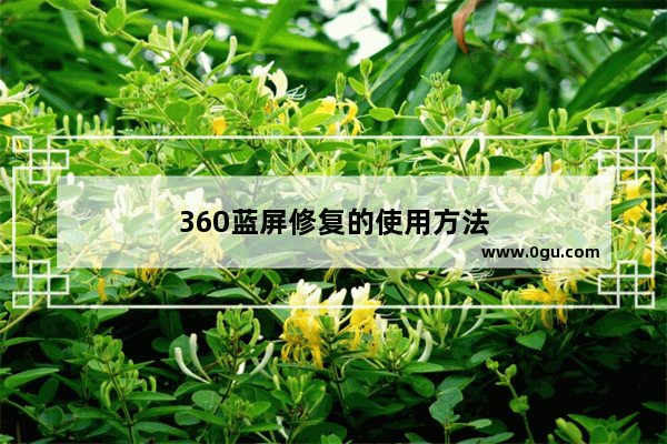 360蓝屏修复的使用方法