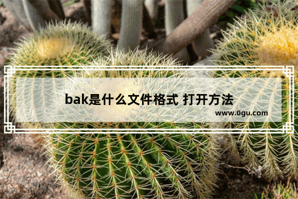 bak是什么文件格式 打开方法