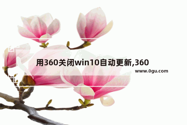 用360关闭win10自动更新,360 windows 10 升级助手