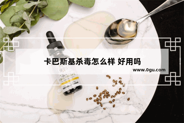 卡巴斯基杀毒怎么样 好用吗