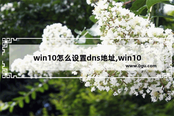 win10怎么设置dns地址,win10电脑的dns在哪里设置