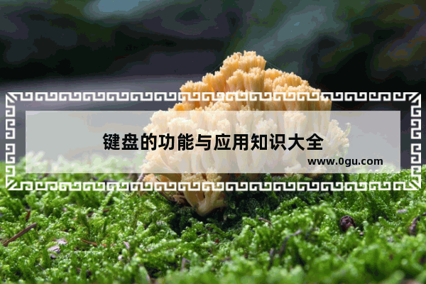 键盘的功能与应用知识大全