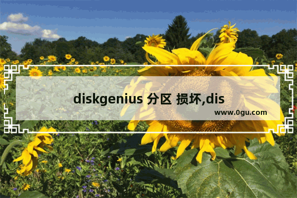 diskgenius 分区 损坏,diskgenius修复损坏的硬盘分区损坏