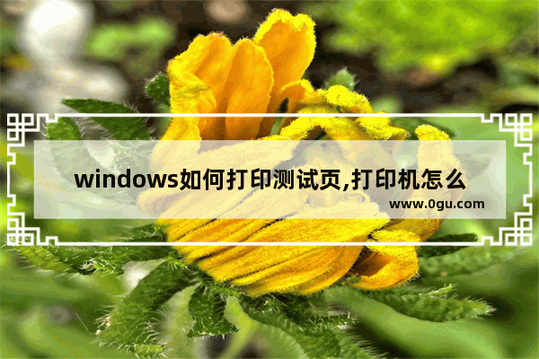 windows如何打印测试页,打印机怎么测试打印页