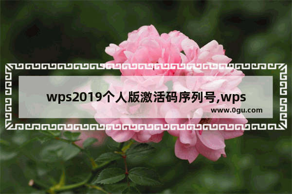 wps2019个人版激活码序列号,wps2016 激活码