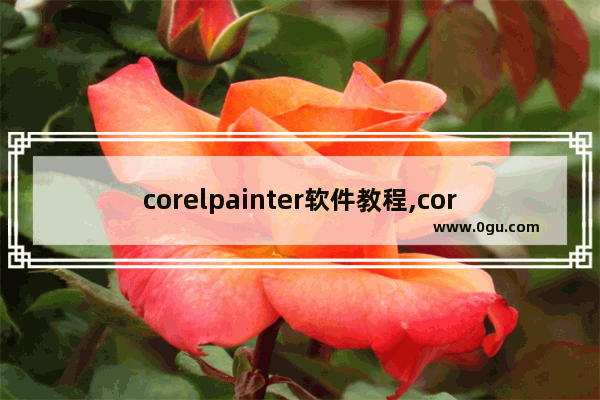 corelpainter软件教程,corel painter软件下载