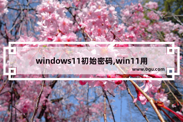 windows11初始密码,win11用户密码