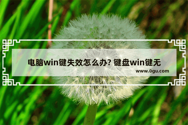 电脑win键失效怎么办? 键盘win键无效的解决办法