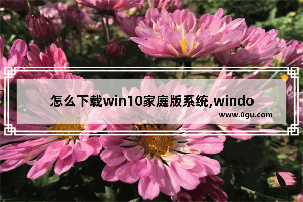 怎么下载win10家庭版系统,windows10家庭版下载地址