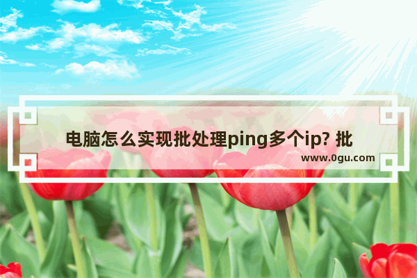 电脑怎么实现批处理ping多个ip? 批处理扫描网段技巧