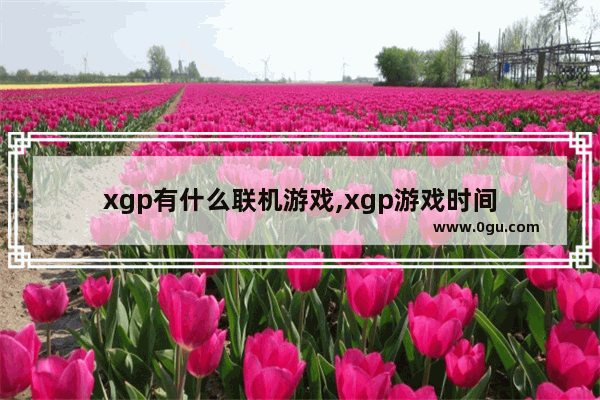 xgp有什么联机游戏,xgp游戏时间