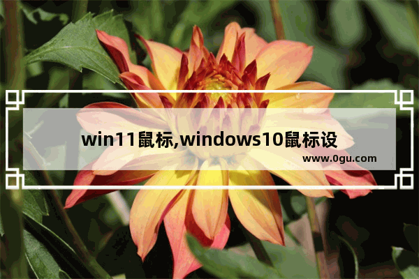 win11鼠标,windows10鼠标设置在哪