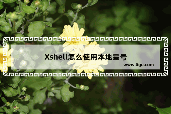 Xshell怎么使用本地星号