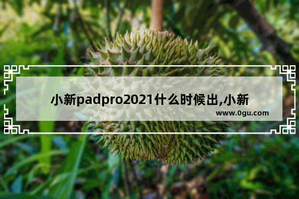 小新padpro2021什么时候出,小新padpro2021发布