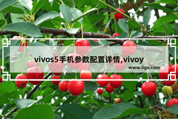 vivos5手机参数配置详情,vivoy5s配置参数表